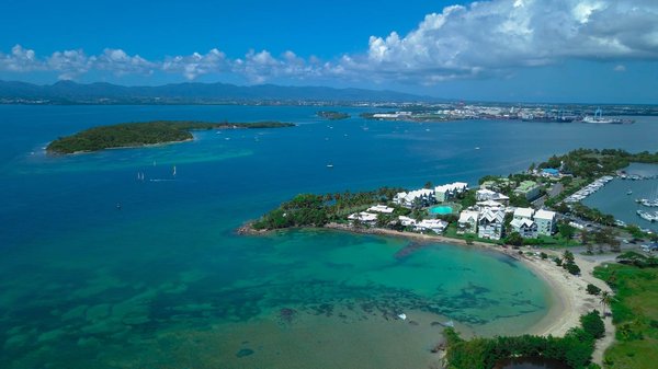Les incontournables à visiter pour un écotourisme tropical à Guadeloupe