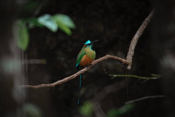 Pourquoi ouvrir une agence de voyage ?